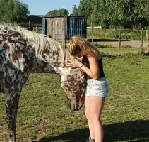 Sage hooves haven rescue horse adoption